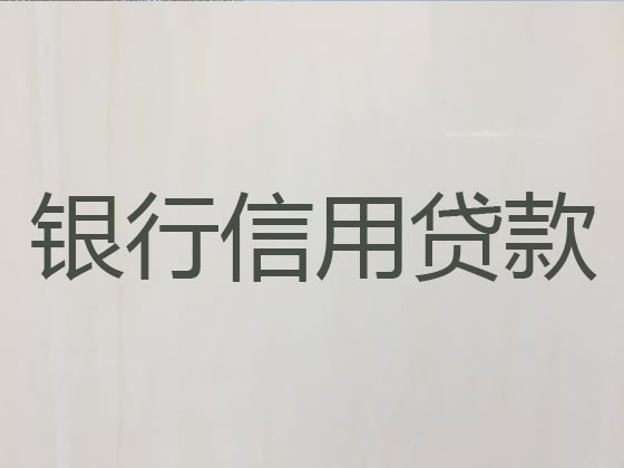 普宁市抵押贷款公司-信用贷款